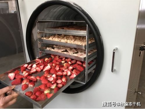 速食凍干食品還有營養價值么